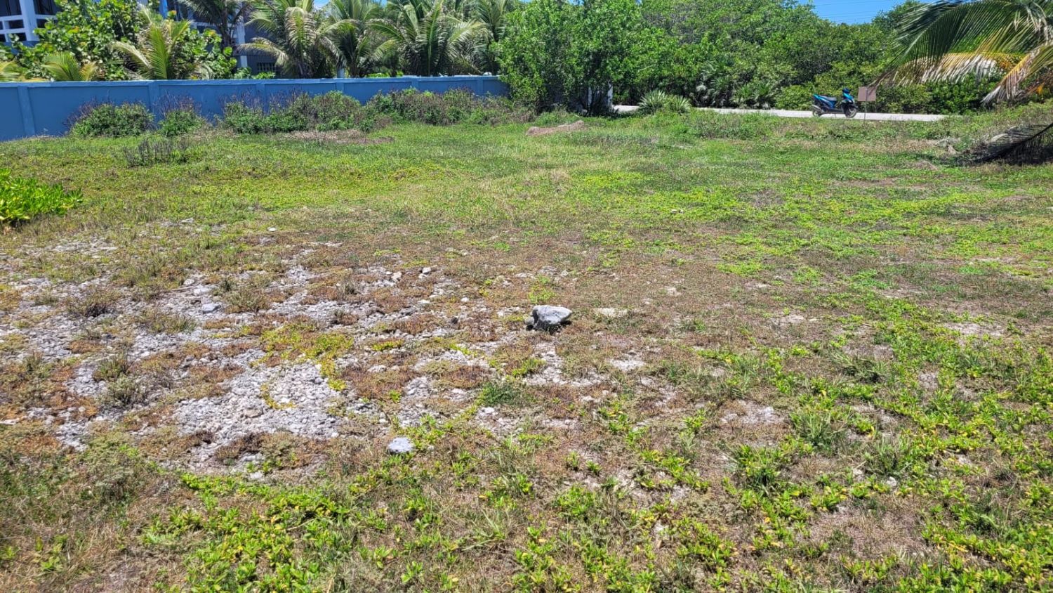 Listing ID: URE0703, Dolphin Run Utila, Bay Islands, HN - Dolphin Run Oceanfront Lot, Photo #