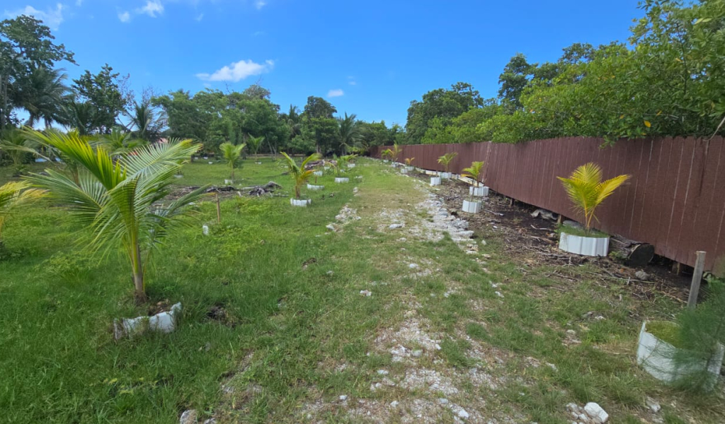 Listing ID: URE0704, Coconut Cove Utila, Bay Islands, HN - Coconut Cove Lot 3, Photo #