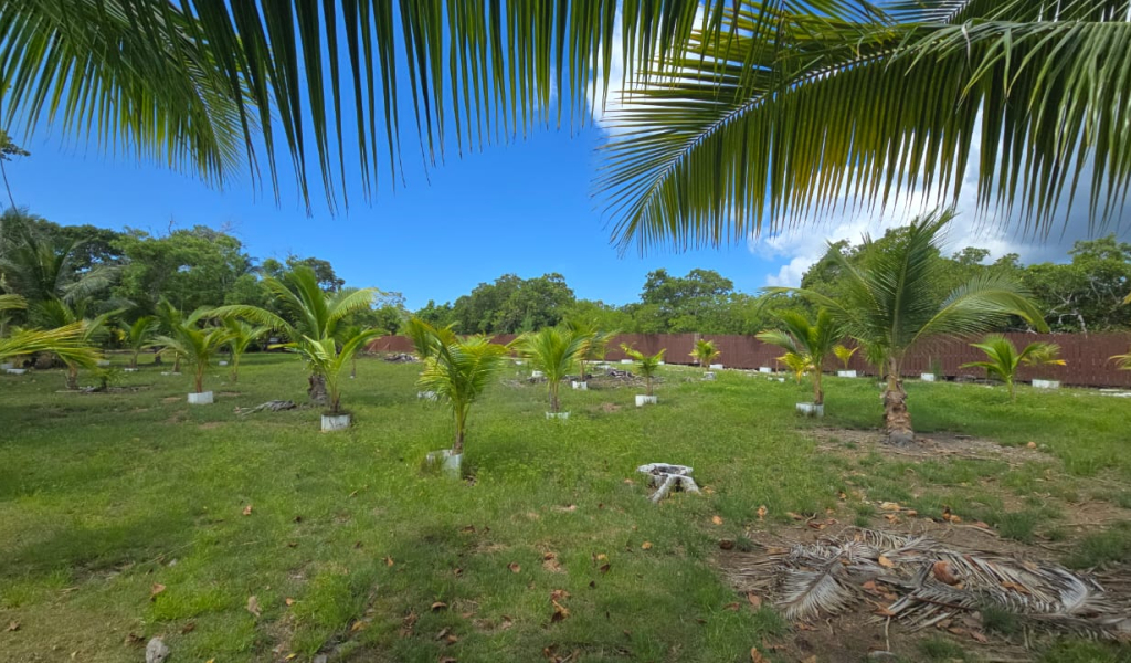 Listing ID: URE0704, Coconut Cove Utila, Bay Islands, HN - Coconut Cove Lot 3, Photo #