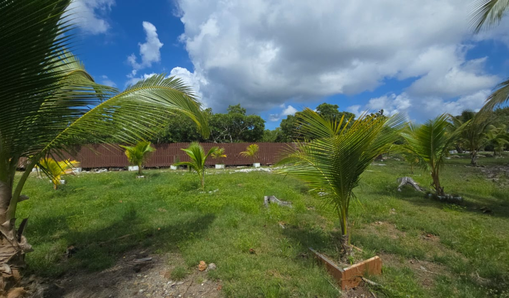 Listing ID: URE0704, Coconut Cove Utila, Bay Islands, HN - Coconut Cove Lot 3, Photo #