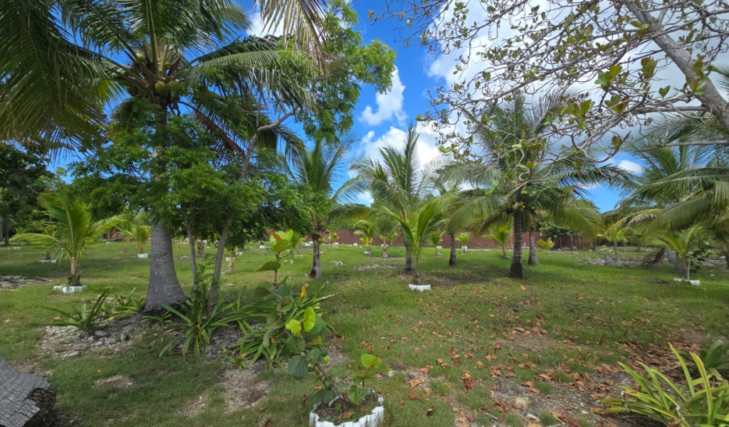 Listing ID: URE0704, Coconut Cove Utila, Bay Islands, HN - Coconut Cove Lot 3, Photo #