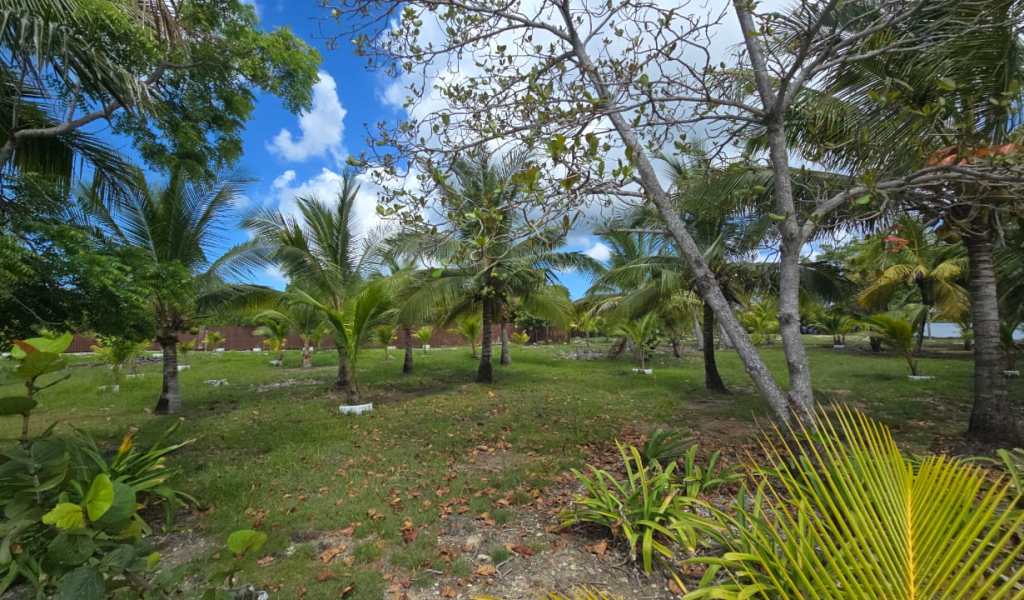 Listing ID: URE0704, Coconut Cove Utila, Bay Islands, HN - Coconut Cove Lot 3, Photo #