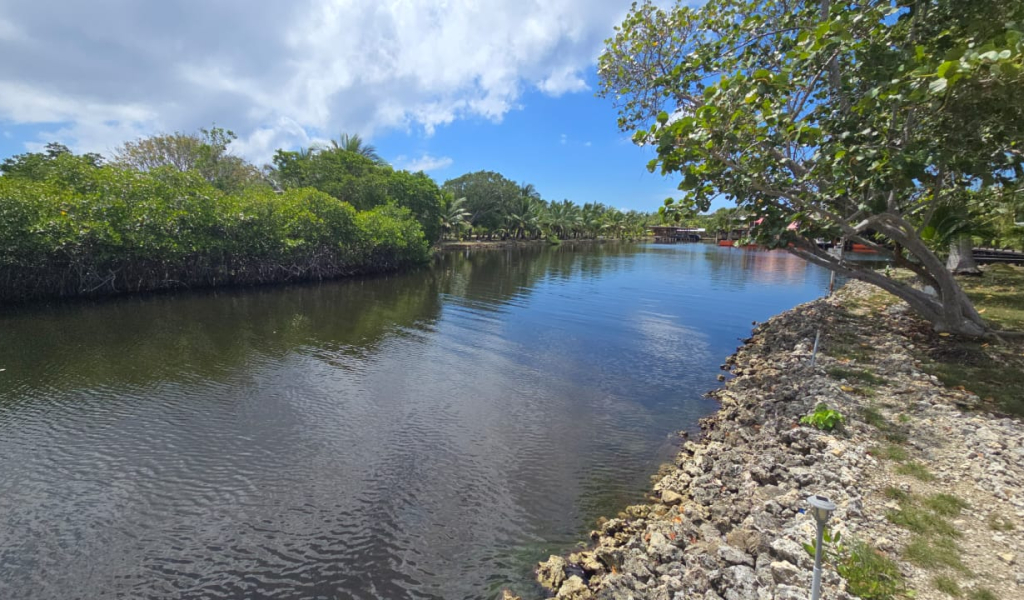 Listing ID: URE0704, Coconut Cove Utila, Bay Islands, HN - Coconut Cove Lot 3, Photo #