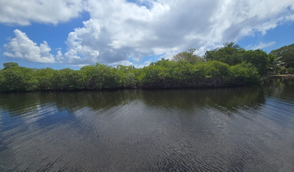 Listing ID: URE0704, Coconut Cove Utila, Bay Islands, HN - Coconut Cove Lot 3, Photo #