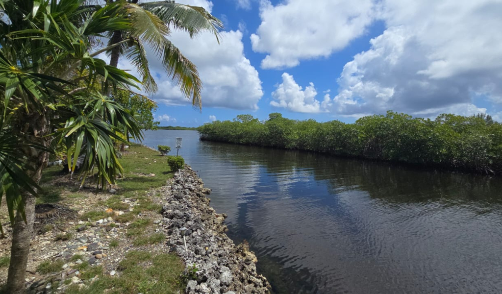 Lot For sale - Utila, Bay Islands - Listing ID: URE0704 - Photo