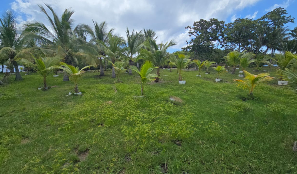 Listing ID: URE0704, Coconut Cove Utila, Bay Islands, HN - Coconut Cove Lot 3, Photo #