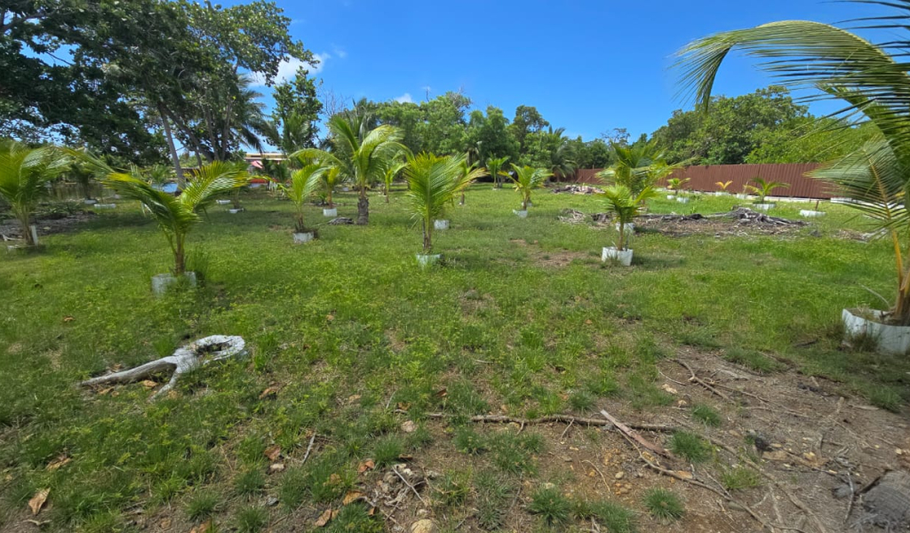 Listing ID: URE0704, Coconut Cove Utila, Bay Islands, HN - Coconut Cove Lot 3, Photo #
