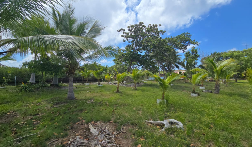 Listing ID: URE0704, Coconut Cove Utila, Bay Islands, HN - Coconut Cove Lot 3, Photo #