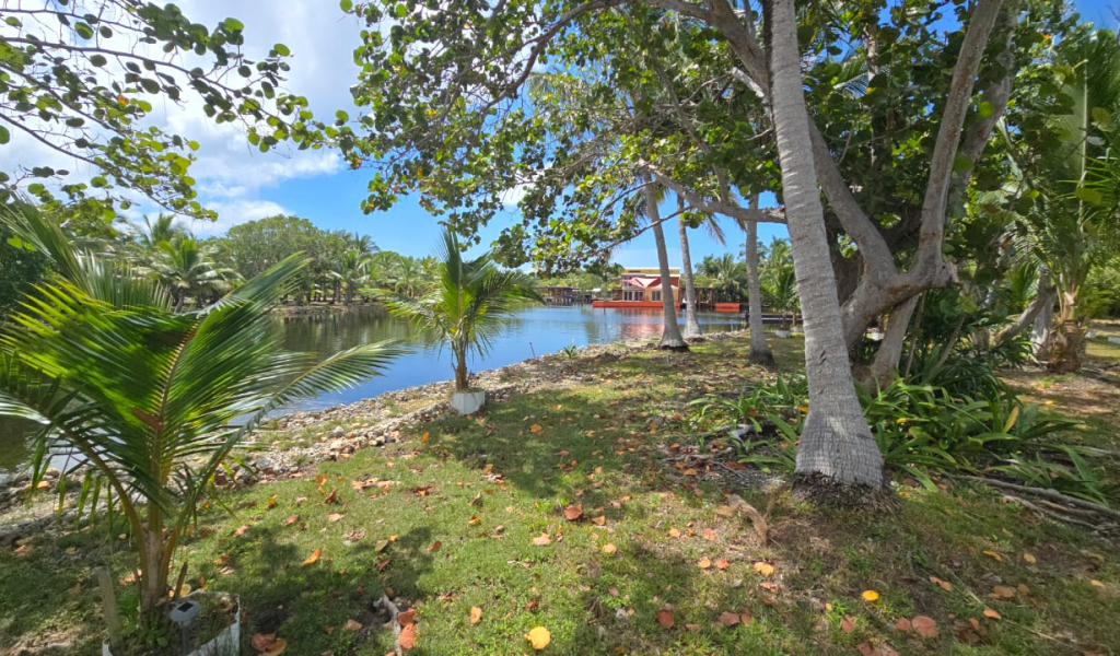 Lot For sale - Utila, Bay Islands - Listing ID: URE0717 - Photo
