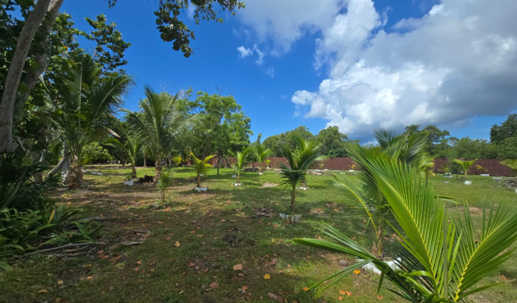 Listing ID: URE0717, Coconut Cove Utila, Bay Islands, HN - Coconut Cove Lot 4, Photo #