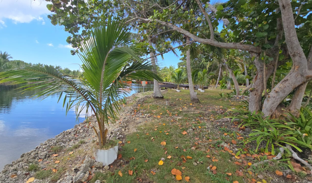 Listing ID: URE0717, Coconut Cove Utila, Bay Islands, HN - Coconut Cove Lot 4, Photo #