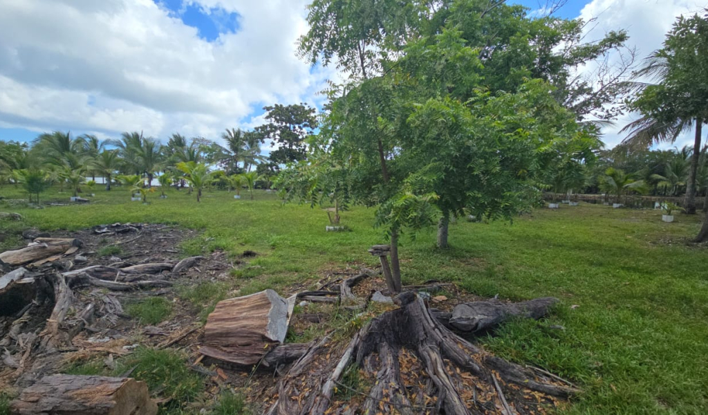 Listing ID: URE0717, Coconut Cove Utila, Bay Islands, HN - Coconut Cove Lot 4, Photo #