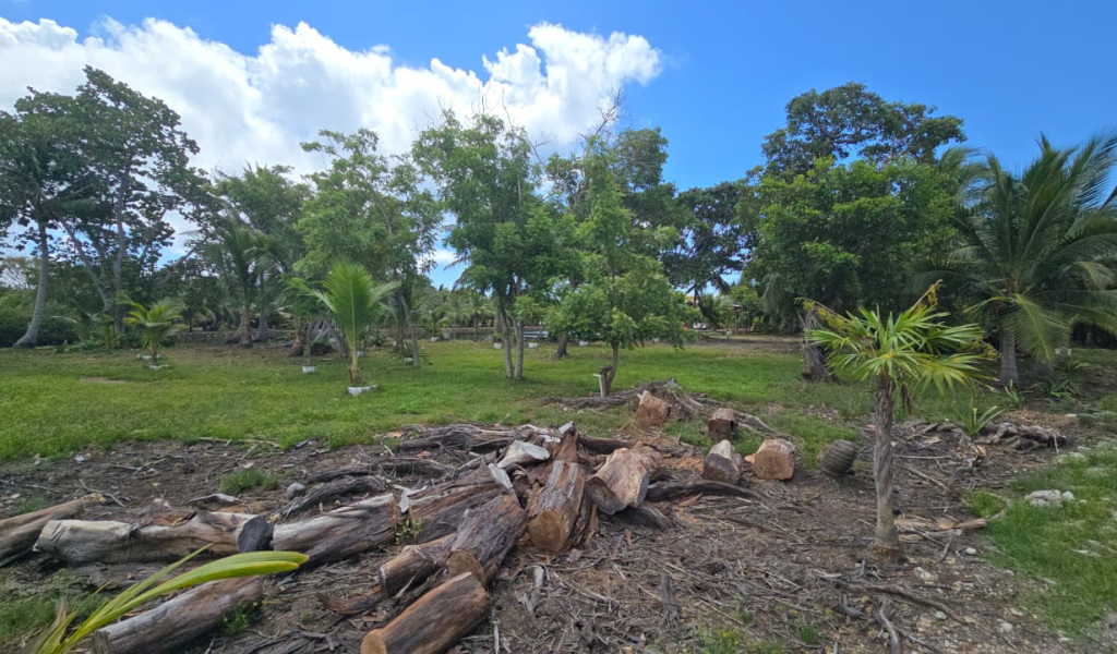 Listing ID: URE0717, Coconut Cove Utila, Bay Islands, HN - Coconut Cove Lot 4, Photo #
