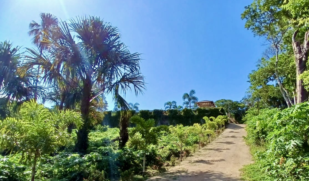 Listing ID: URE0719, New Jericho Utila, Bay Islands, HN - Fortalaza Main House, Photo #