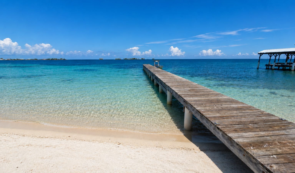 Listing ID: URE0720, Holland Beach Utila, Bay Islands, HN - The Dive Bar & Restaurant, Photo #