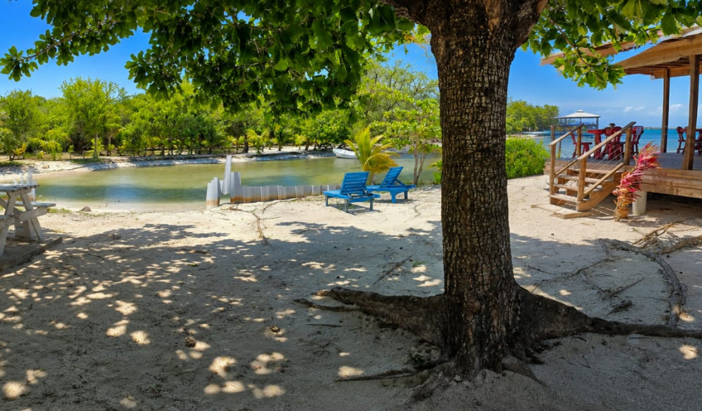 Listing ID: URE0720, Holland Beach Utila, Bay Islands, HN - The Dive Bar & Restaurant, Photo #