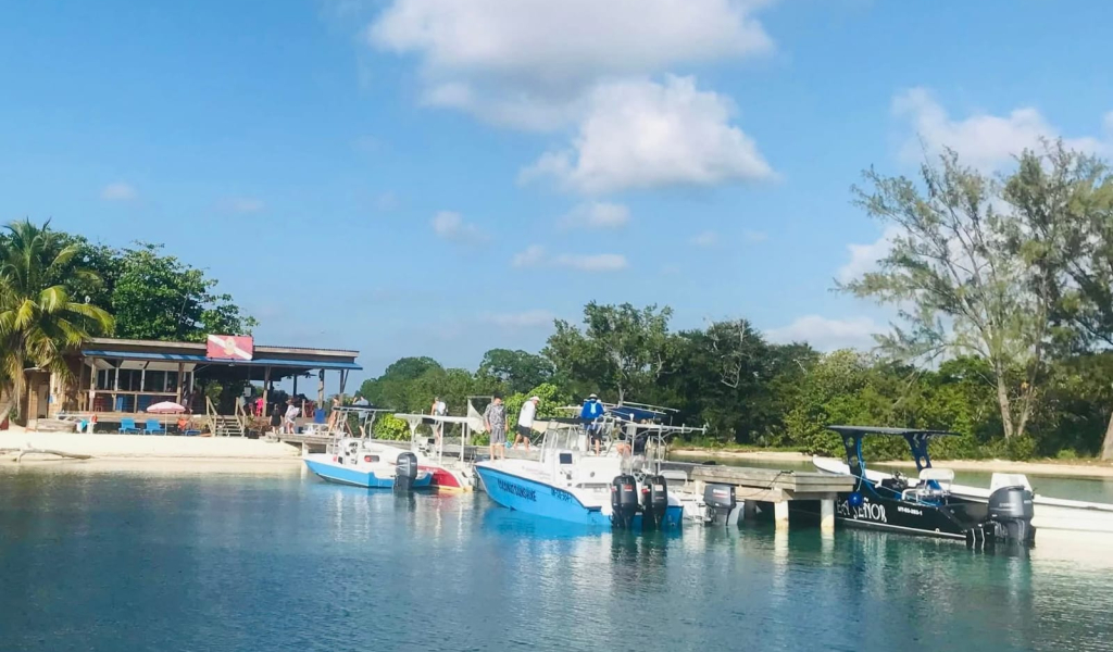 Listing ID: URE0720, Holland Beach Utila, Bay Islands, HN - The Dive Bar & Restaurant, Photo #