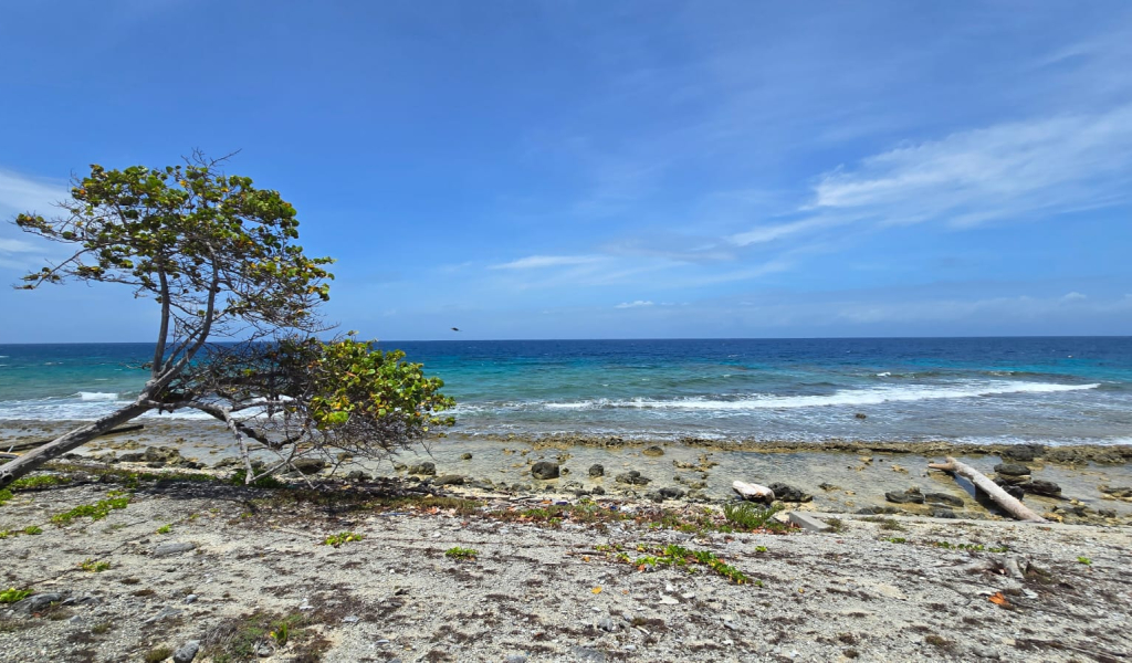 Listing ID: URE0722, Coconut Cove Utila, Bay Islands, HN - Coconut Cove Unfinished Gem, Photo #