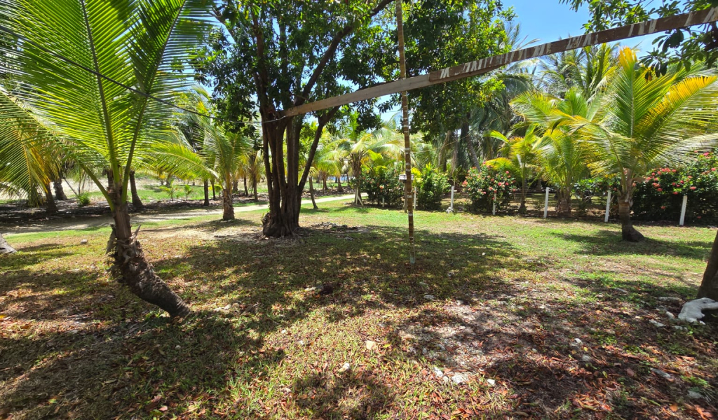 Listing ID: URE0722, Coconut Cove Utila, Bay Islands, HN - Coconut Cove Unfinished Gem, Photo #
