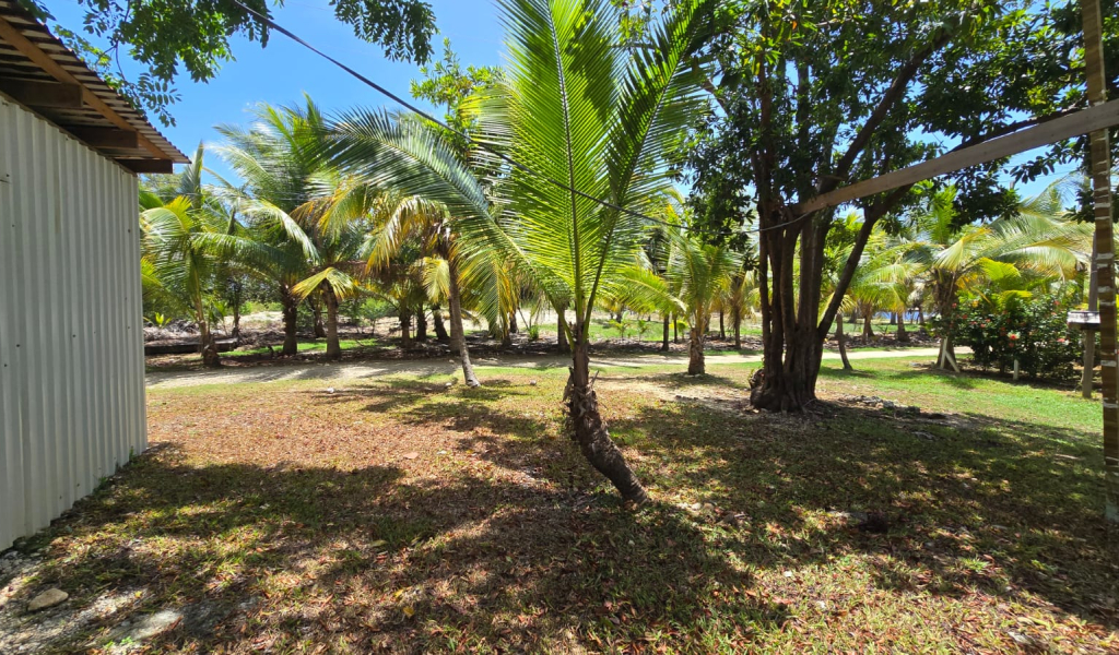 Listing ID: URE0722, Coconut Cove Utila, Bay Islands, HN - Coconut Cove Unfinished Gem, Photo #