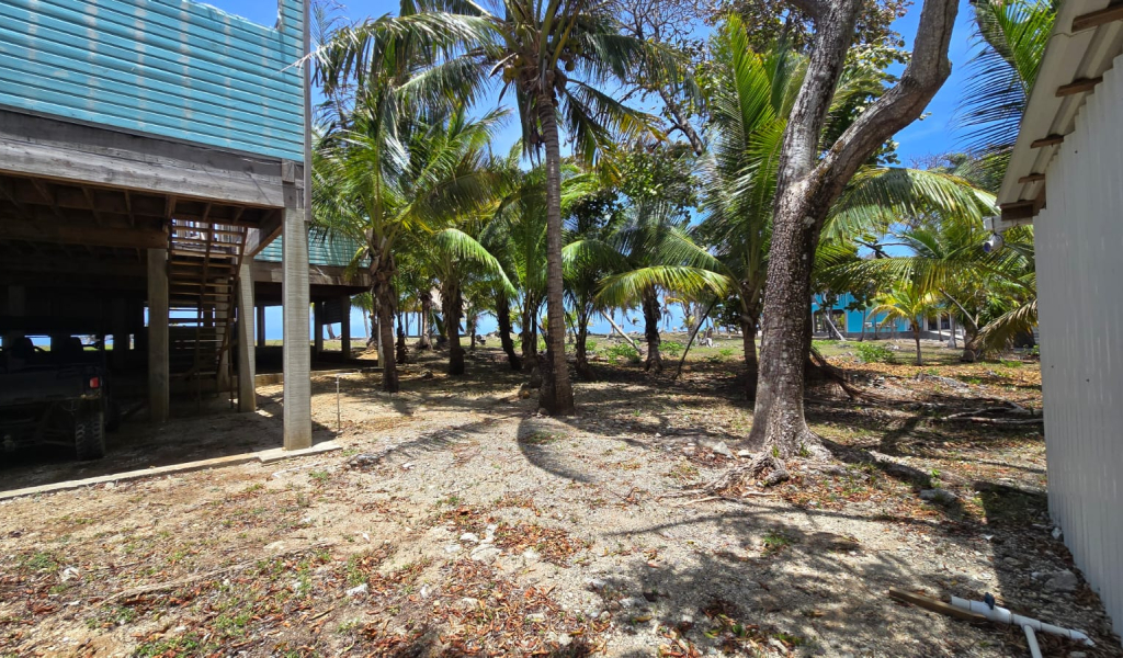 Listing ID: URE0722, Coconut Cove Utila, Bay Islands, HN - Coconut Cove Unfinished Gem, Photo #