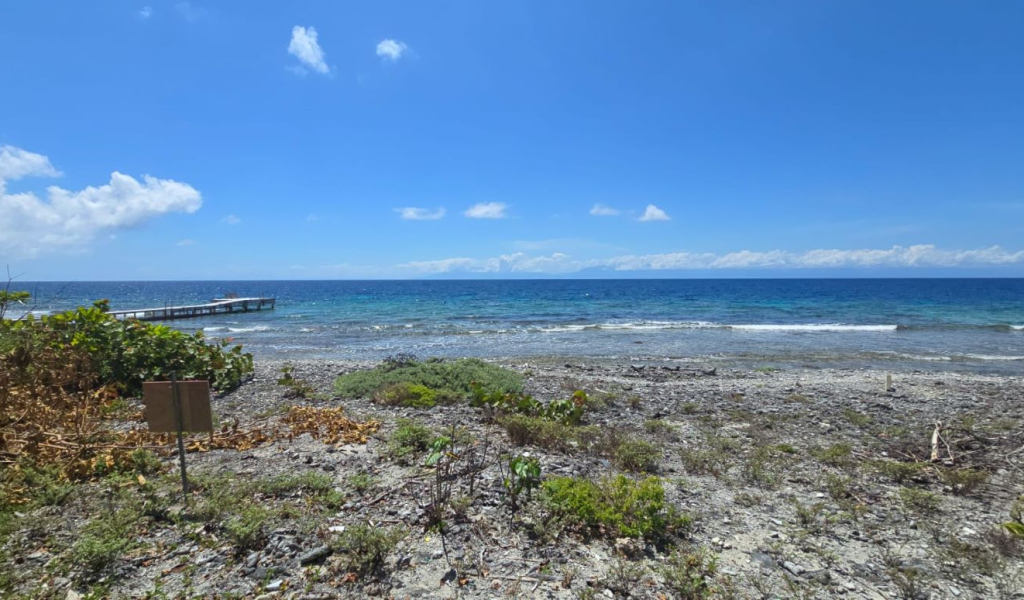 Listing ID: URE0723, Big Rock Utila, Bay Islands, HN - Big Rock oceanfront front and back Lot , Photo #