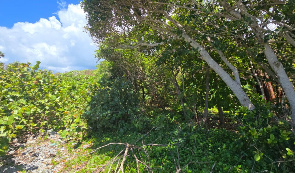 Listing ID: URE0723, Big Rock Utila, Bay Islands, HN - Big Rock oceanfront front and back Lot , Photo #