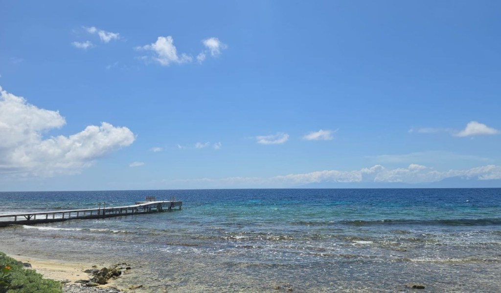 Lot For sale - Utila, Bay Islands - Listing ID: URE0723 - Photo