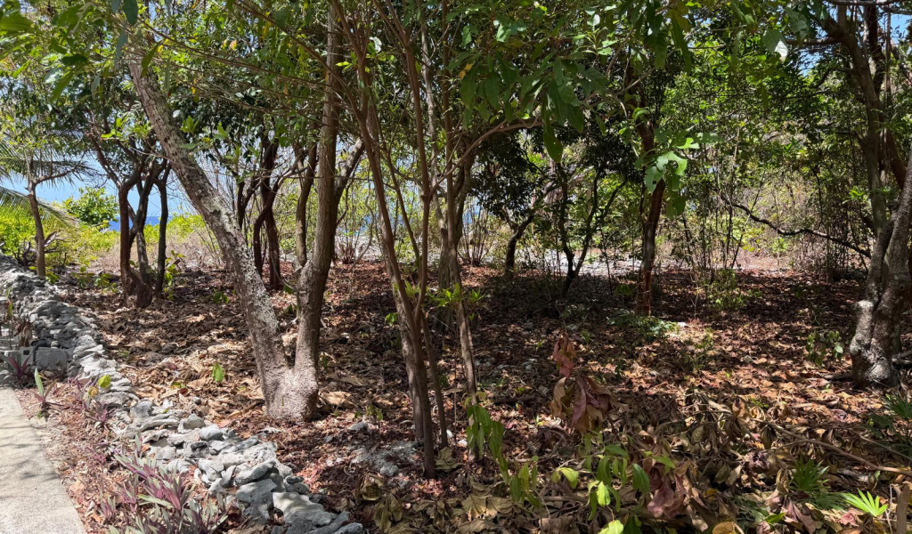 Listing ID: URE0723, Big Rock Utila, Bay Islands, HN - Big Rock oceanfront front and back Lot , Photo #