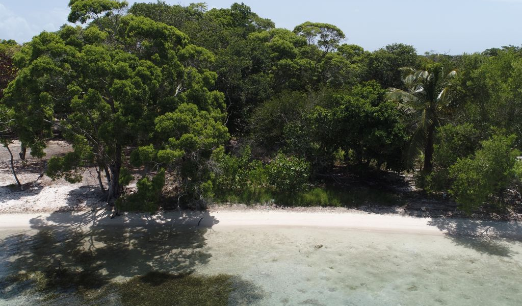 Listing ID: URE0726, Davids Beach Utila, Bay Islands, HN - Sunset Shore, Lot 20, Photo #