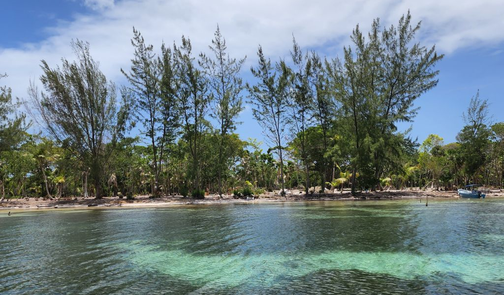 Listing ID: URE0726, Davids Beach Utila, Bay Islands, HN - Sunset Shore, Lot 20, Photo #