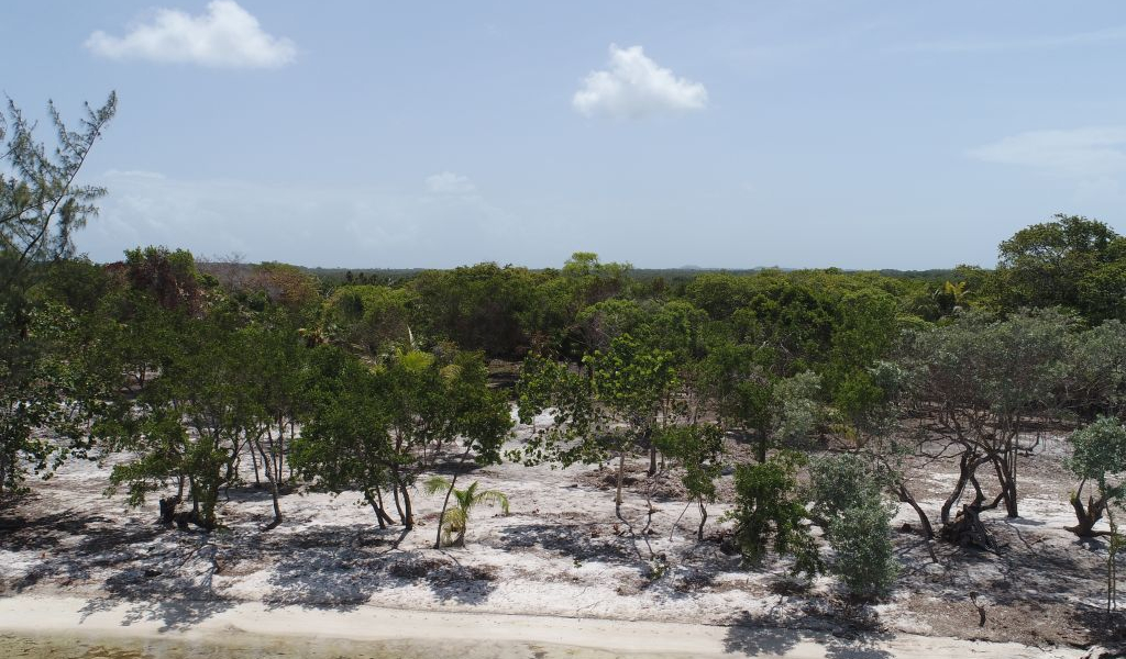 Listing ID: URE0726, Davids Beach Utila, Bay Islands, HN - Sunset Shore, Lot 20, Photo #