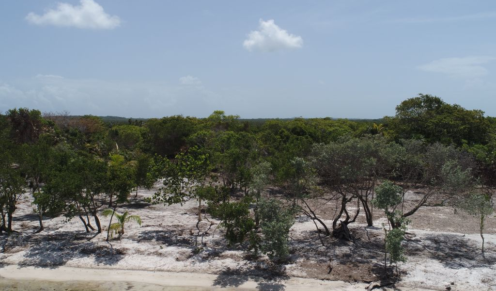 Listing ID: URE0726, Davids Beach Utila, Bay Islands, HN - Sunset Shore, Lot 20, Photo #