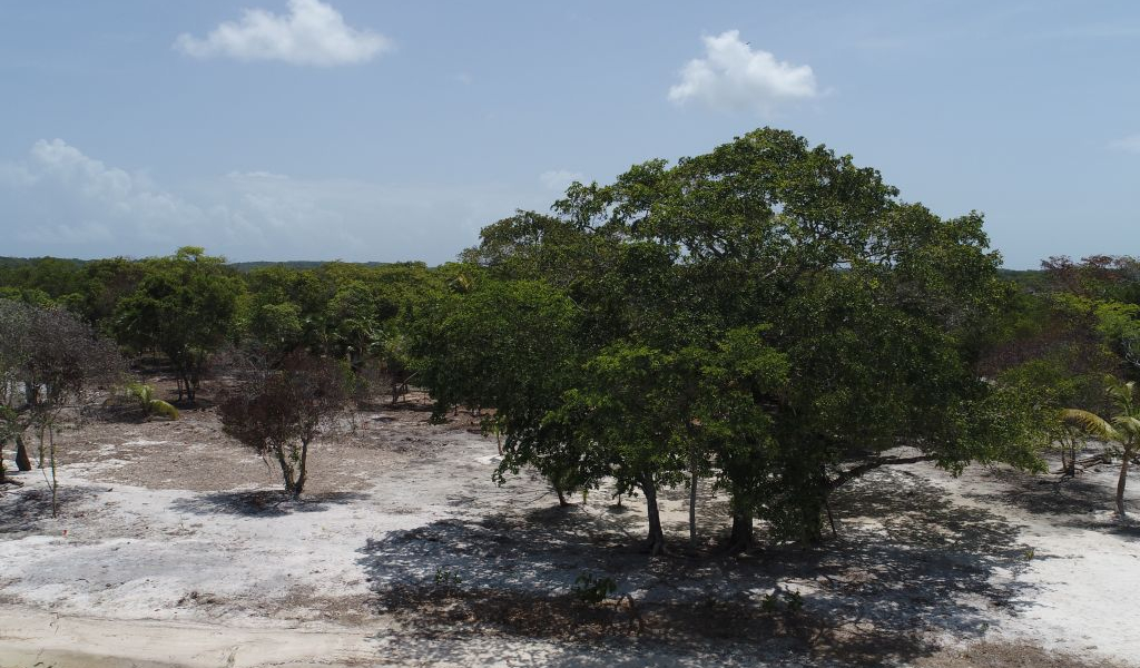 Listing ID: URE0727, Davids Beach Utila, Bay Islands, HN - Sunset Shore, Lot 21, Photo #