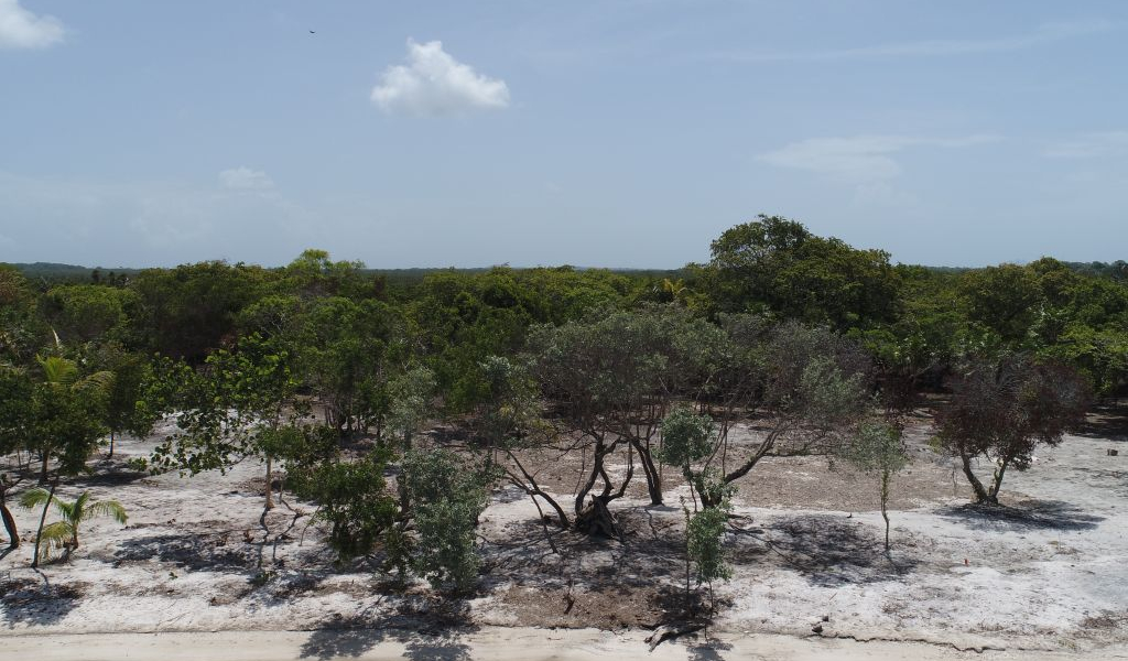 Lot Sale pending - Utila, Bay Islands - Listing ID: URE0727 - Photo
